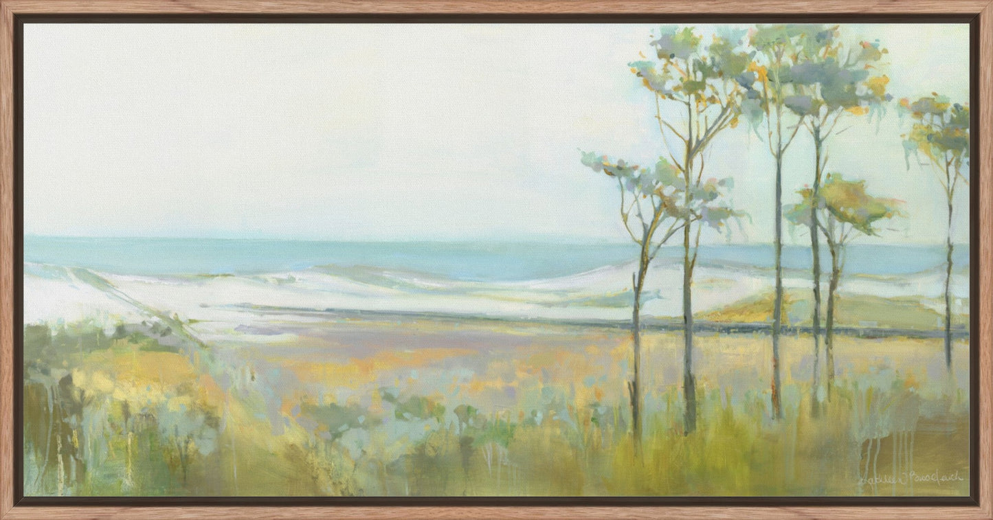 Topsail Preserve Park