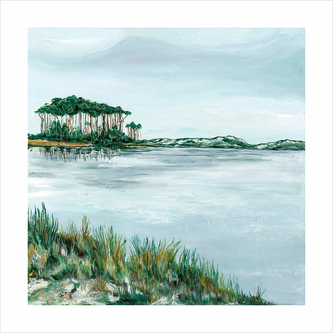 Western Lake Amy Fogg Reedy