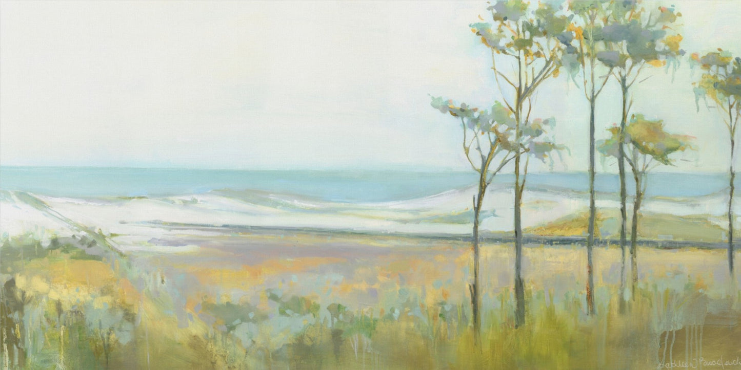 Topsail Preserve Park