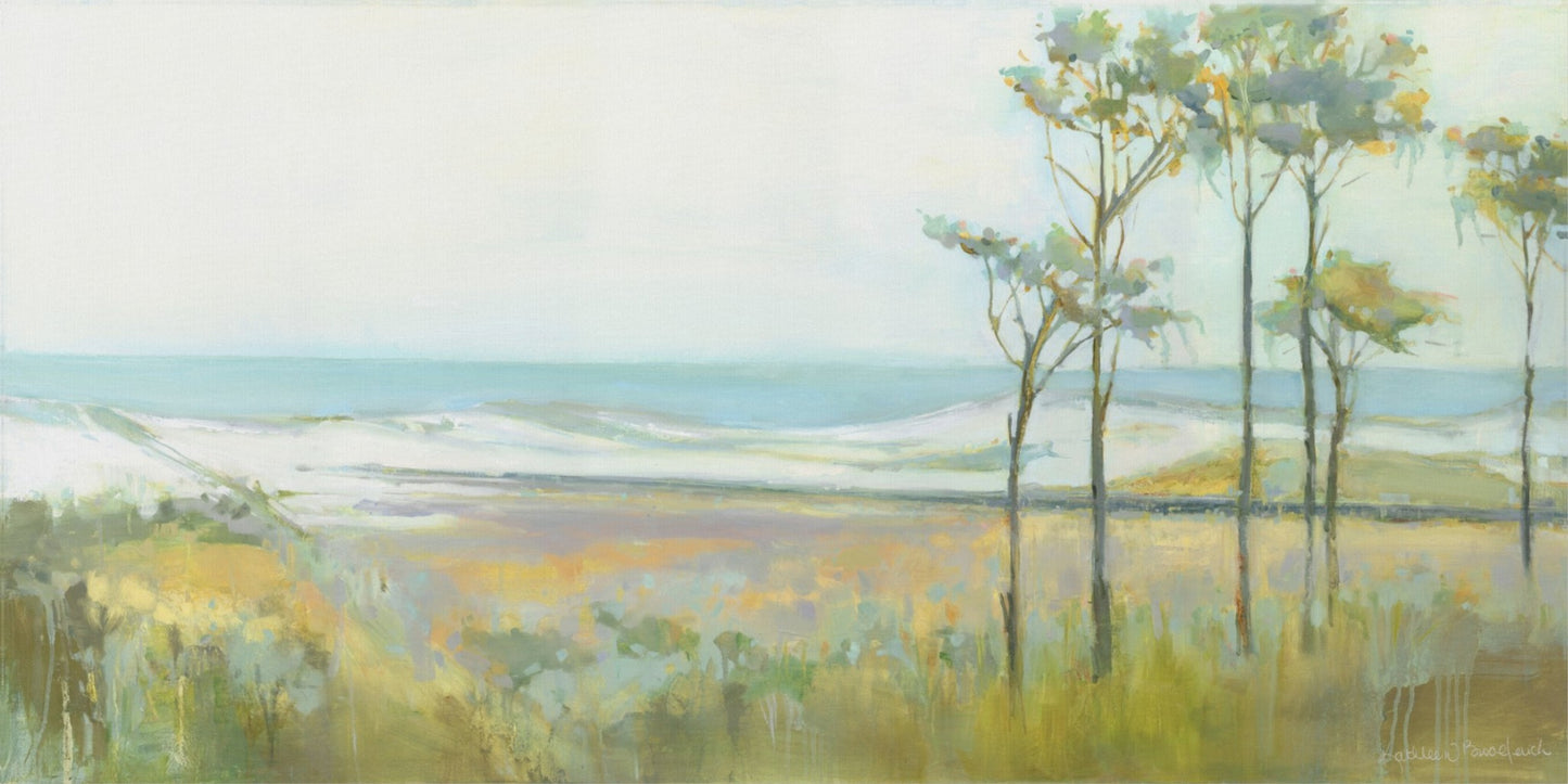 Topsail Preserve Park