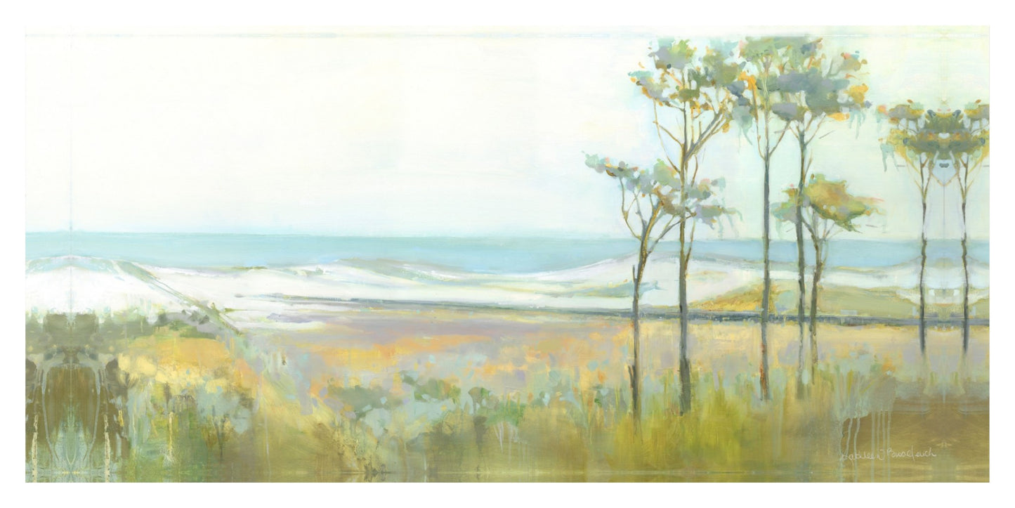 Topsail Preserve Park