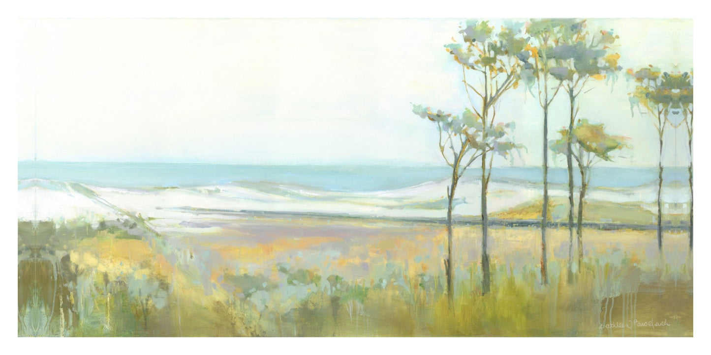 Topsail Preserve Park