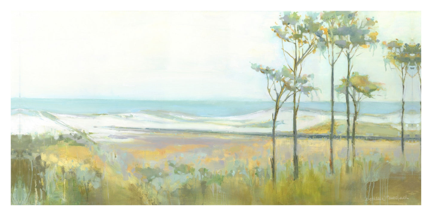 Topsail Preserve Park