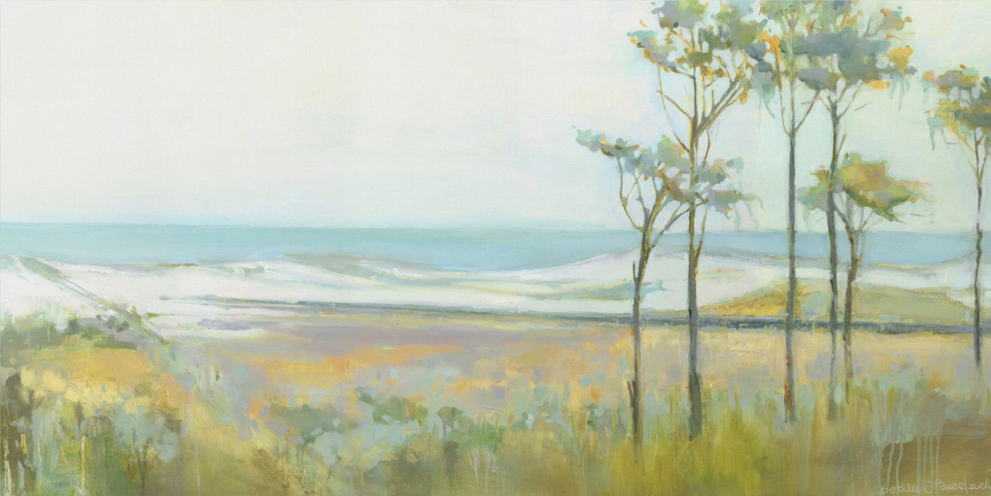 Topsail Preserve Park
